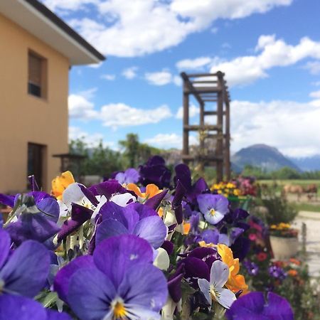 Agriturismo San Floreano Buia 외부 사진