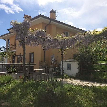 Agriturismo San Floreano Buia 외부 사진