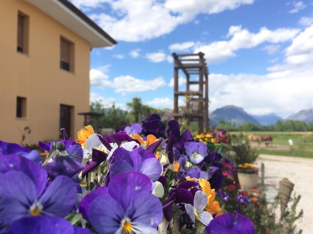 Agriturismo San Floreano Buia 외부 사진