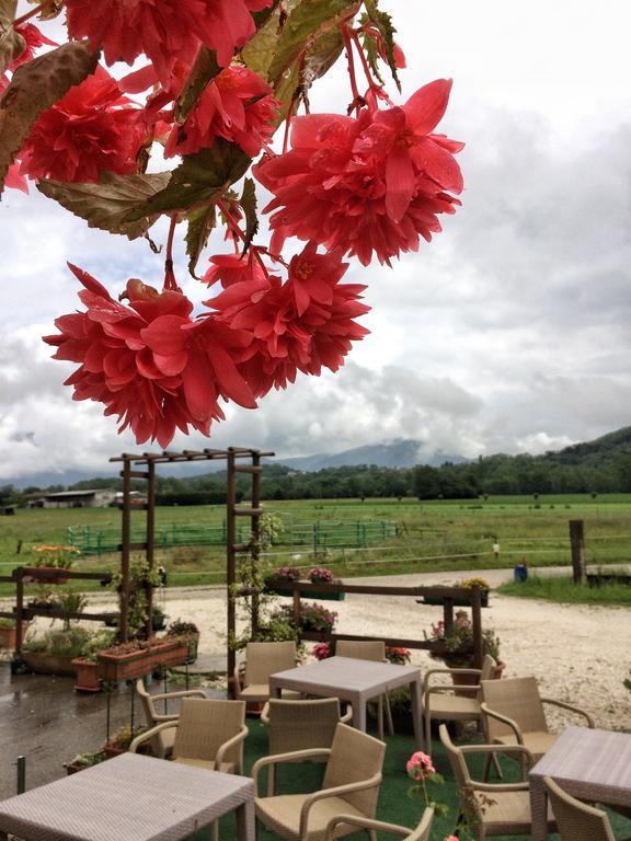 Agriturismo San Floreano Buia 외부 사진